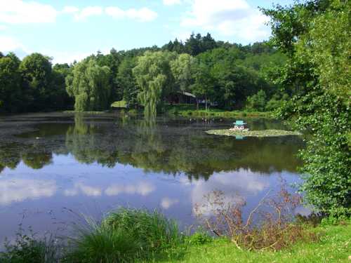 Weiher ASV75