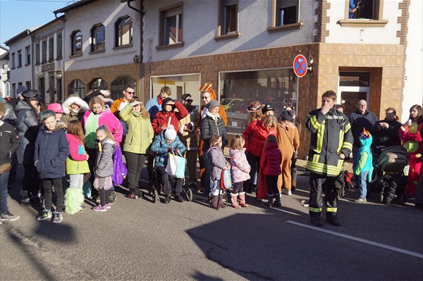 Fastnachtsumzug 2018 (19)