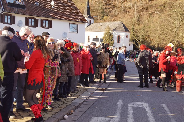 Fastnachtsumzug 2018 (20)