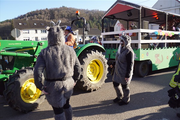 Fastnachtsumzug 2018 (21)