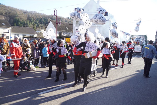 Fastnachtsumzug 2018 (25)