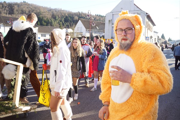 Fastnachtsumzug 2018 (30)