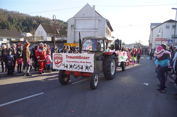 Fastnachtsumzug 2018 (35)