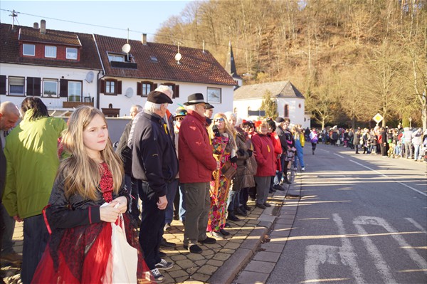 Fastnachtsumzug 2018 (41)