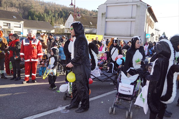 Fastnachtsumzug 2018 (55)