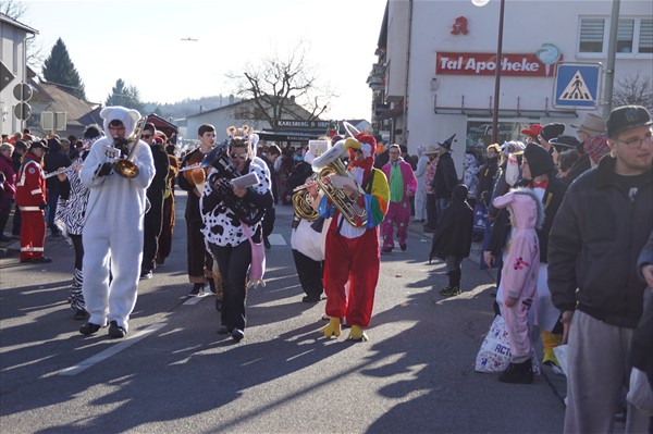 Fastnachtsumzug 2018 (7)