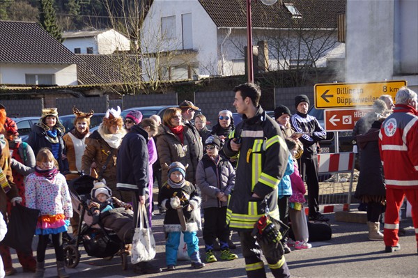 Fastnachtsumzug 2018 (9)