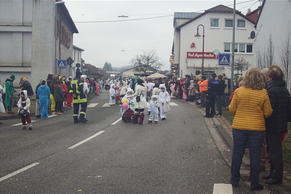 Fastnachtsumzug_2019 (20)