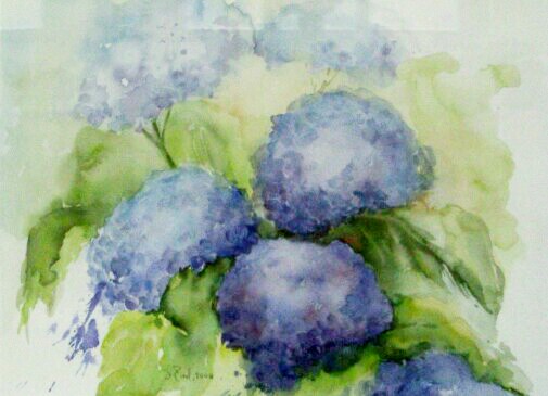 blaue Blumen