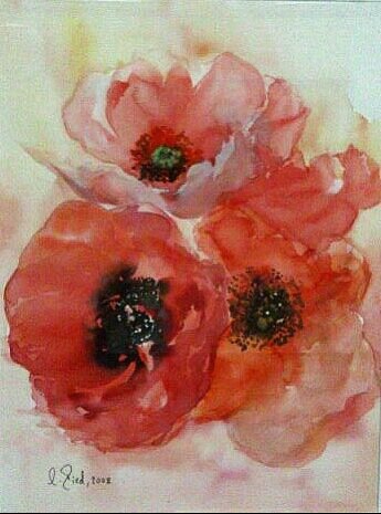 Mohn